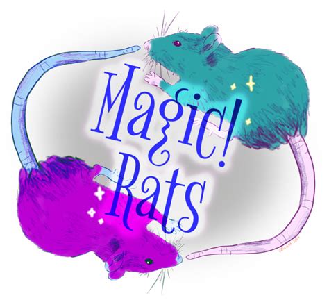 Discovering Musical Gems: Live Music with Magic Rat